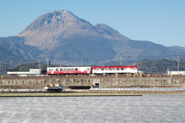 「しまてつカフェトレイン」で楽しむ地元グルメとしまばら火張山花公園 春の花まつり日帰りバスツアー🚌1